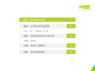 2021年中國企業(yè)級無代碼白皮書 信息技術(shù)咨詢服務(wù)的新篇章